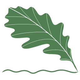 Alessandra Magagna Logo